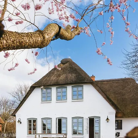 Ferienhaus Enjoy Fresh Air In A On Foehr Midlum (Schleswig-Holstein)
